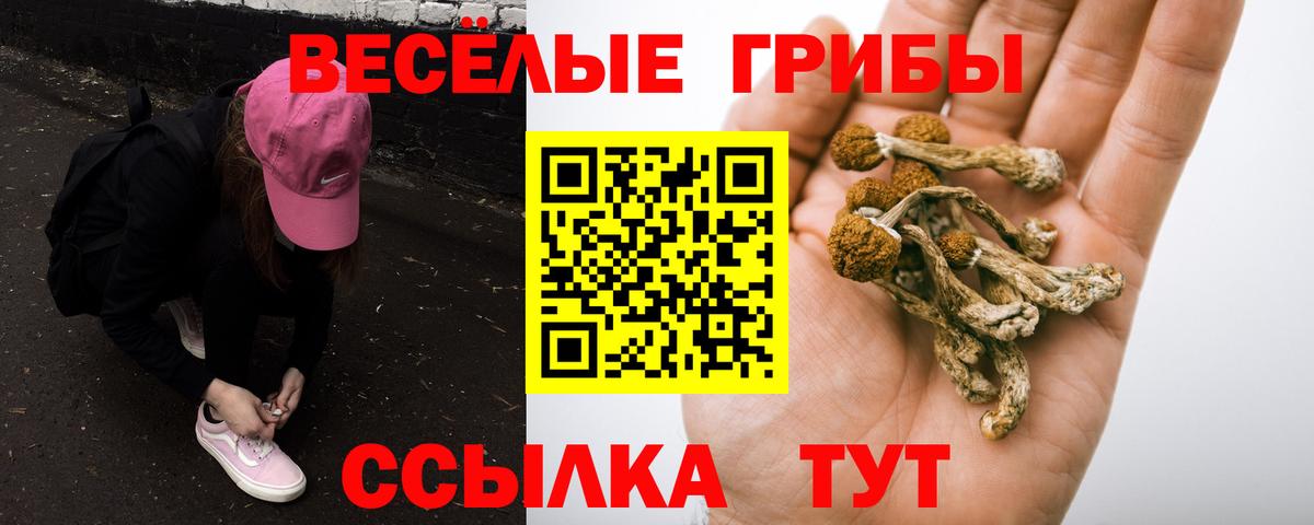 Белово  закладки  Вход с VPN  Галлюциногенные грибы мицелий 